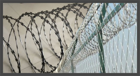 Crossed Concertina Wire Ribbons